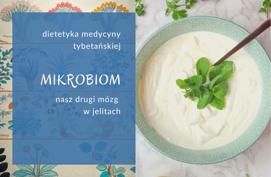 Mikrobiom, drugi mózg w jelitach