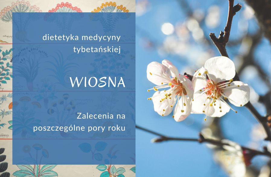 być w równowadze; dietetyka medycyny tybetańskiej wiosna być w równowadze, medycyna tybetańska, dietetyka medycyny tybetańskiej, zdrowie holistyczne kobiet, problemy z trawieniem, zdrowe jelita, menopauza, zdrowie kobiety po 40-ce
