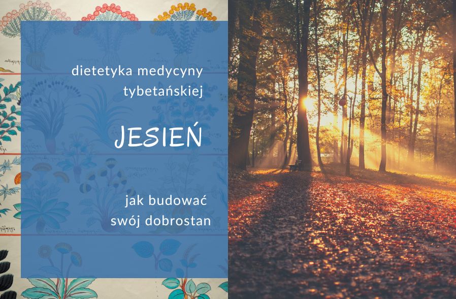 Jesień. Jak budować swój dobrostan