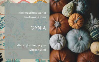 Dynia, królowa jesieni