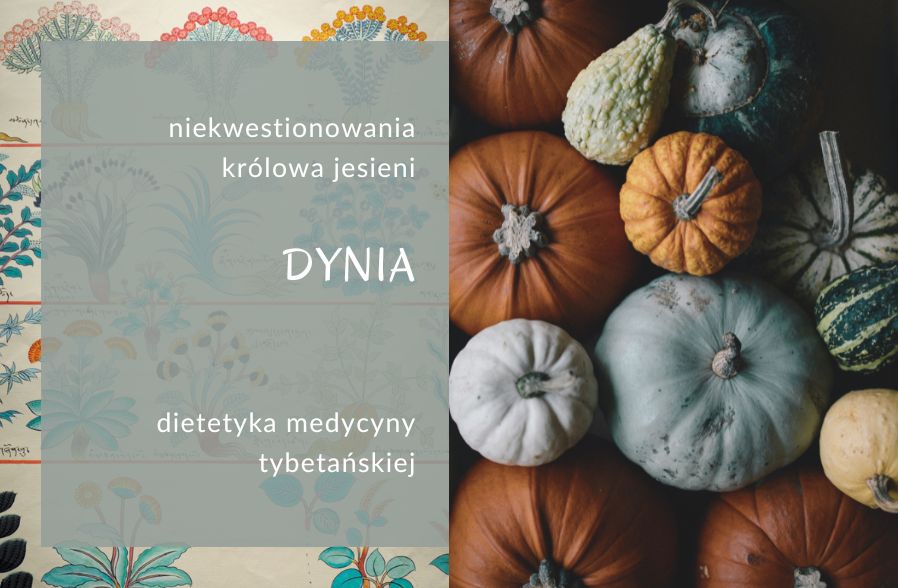 Dynia. Dietetyka medycyny tybetańskiej. Być w równowadzebyć w równowadze, medycyna tybetańska, dietetyka medycyny tybetańskiej, zdrowie holistyczne kobiet, problemy z trawieniem, zdrowe jelita, menopauza, zdrowie kobiety po 40-ce
